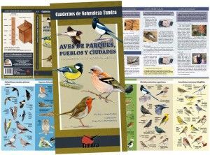 Aves de parques, pueblos y ciudades