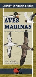 Aves marinas. Introducción a las especies ibéricas
