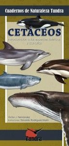 Cetáceos. Introducción a las especies ibéricas y canarias