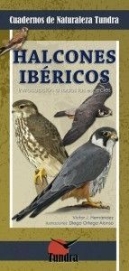Halcones ibéricos. Introducción a todas las especies