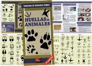 Huellas de animales. Introducción a las especies ibéricas