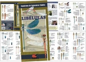 Libélulas. Introducción a las especies ibéricas