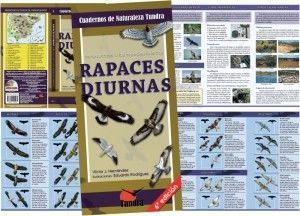 Rapaces diurnas. Introducción a las especies ibéricas
