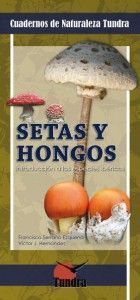 Setas y hongos. Introducción a las especies ibéricas