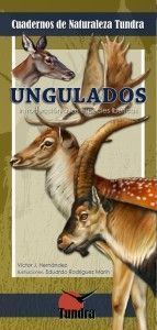 Ungulados. Introducción a las especies ibéricas