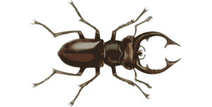 Vacaloura