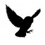 Silueta moucho