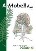 A Mobella nº 19