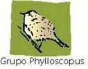 Grupo Phylloscopus