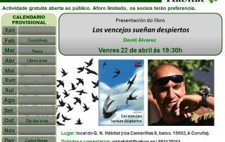 Presentación Los vencejos sueñan despiertos