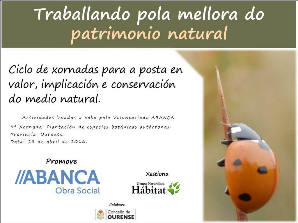Cartel_Ourense_Plantacion