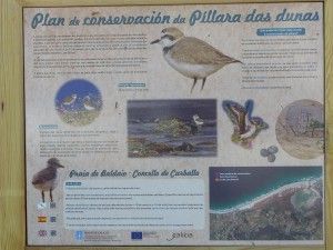 Cartel de píllara das dunas en Baldaio