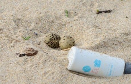 Niño de píllara
