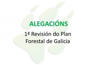 nuevo-presentacion-de-microsoft-powerpoint