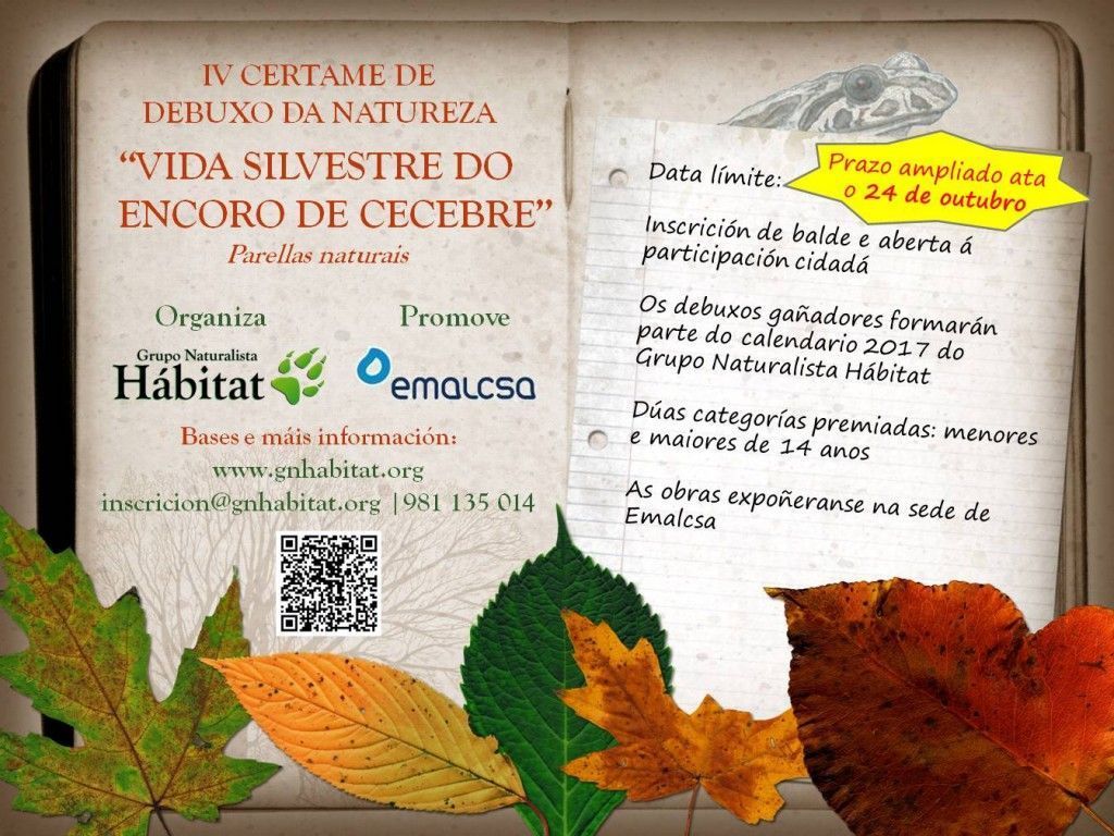 ampliacion_cartel_ivcertamedebuxo