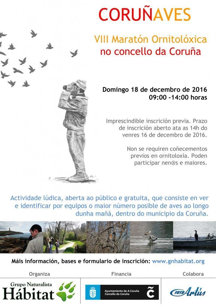 Cartel VIII CORUNAVES_V2