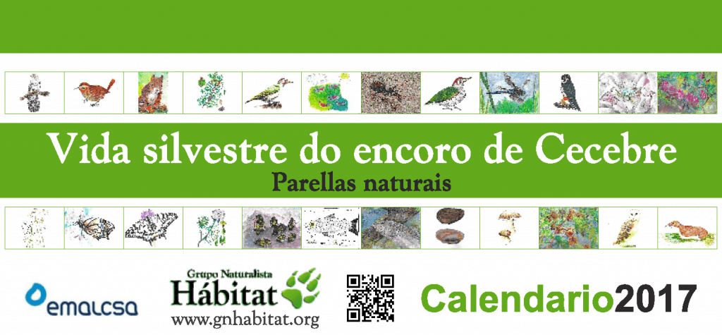 portada-calendario