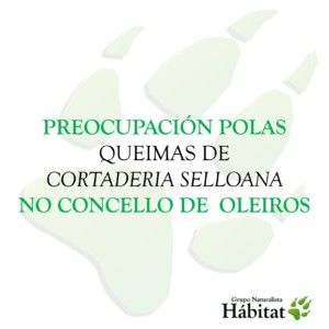 Diapositiva 1