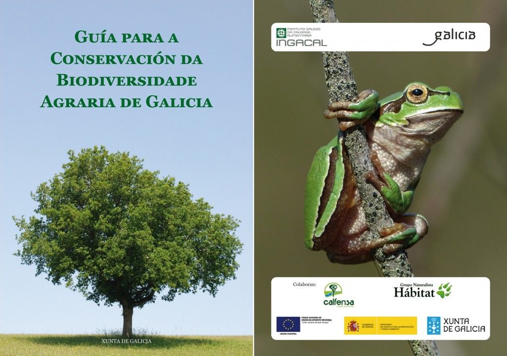Redes2