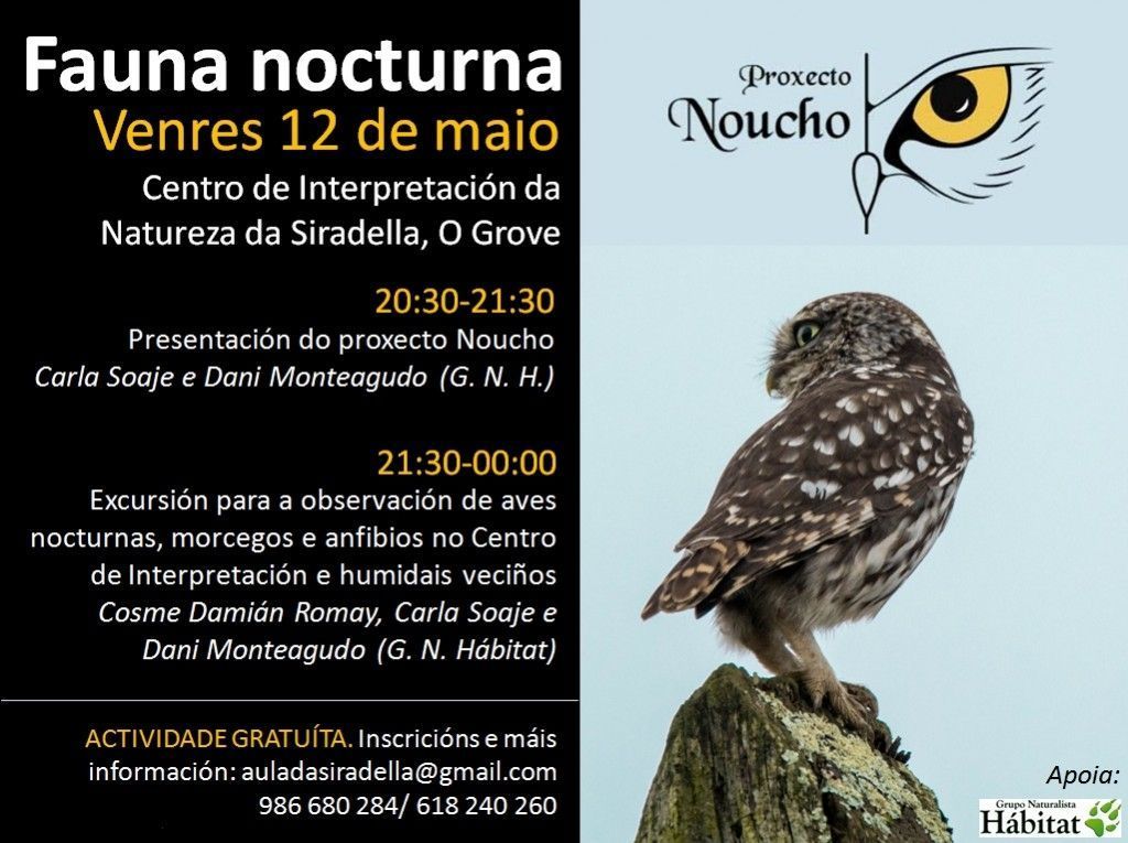 Cartel_Noucho_Siradella