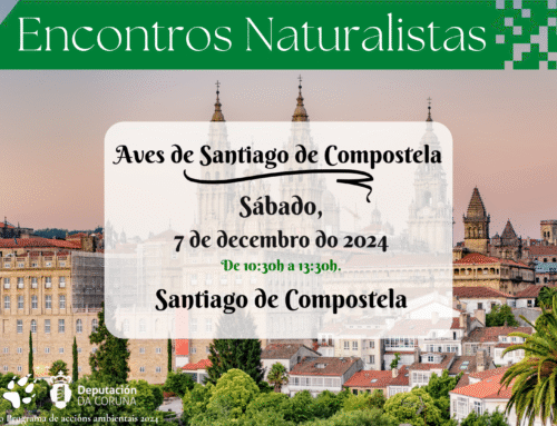 Encontros Naturalistas: Aves de Santiago de Compostela