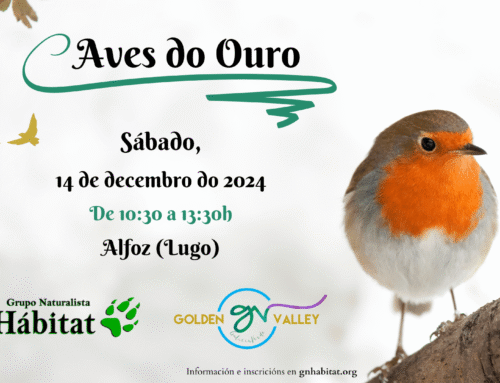 Aves do Ouro