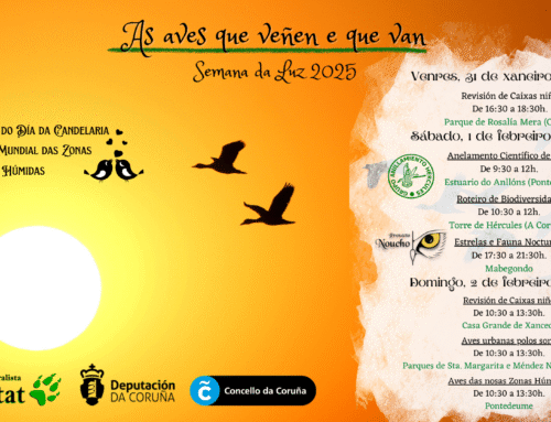Semana da Luz 2025: Aves que veñen e que van.