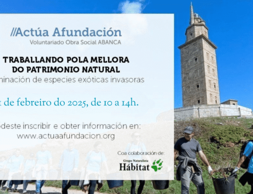 Control de Carpobrotus edulis na Torre de Hércules con Afundación Obra Social ABANCA