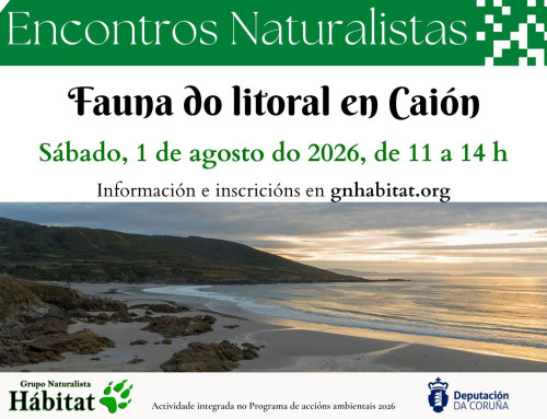 Encontros Naturalistas: Fauna do litoral en Caión