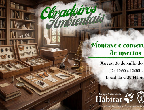 Obradoiro ambiental: Montaxe e conservación de insectos
