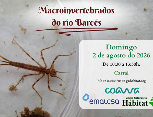 COAWA: Macroinvertebrados do río Barcés