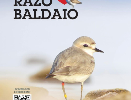 Eu Quero Razo Baldaio (campaña 2026)