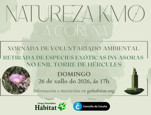 Natureza kmØ no ENIL Torre de Hércules (26/07/2026)