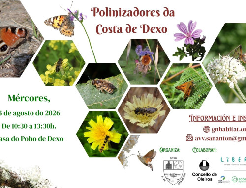 Polinizadores da Costa de Dexo