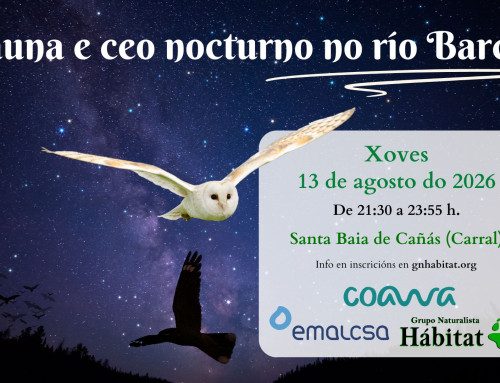 COAWA: Fauna e ceo nocturno no río Barcés