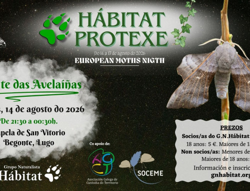 Hábitat Protexe: Noite das avelaíñas en Begonte