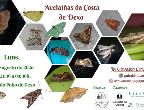Avelaíñas da Costa de Dexo