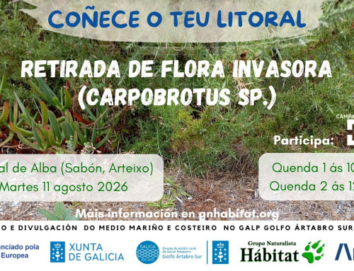 Control de plantas invasoras en Sabón, Arteixo, co Campamento DG (19/08/2026)