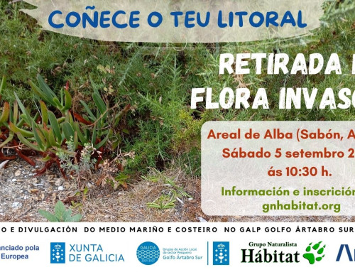 Retirada de plantas invasoras en Sabón, Arteixo