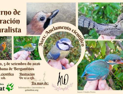 Caderno de Ilustración Naturalista