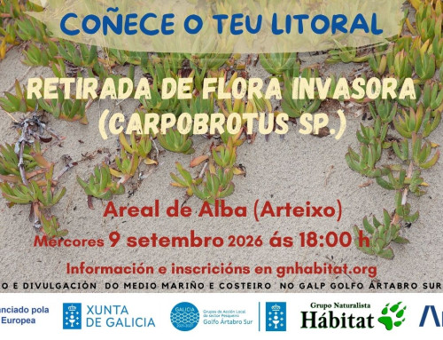 Retirada de plantas invasoras en Sabón, Arteixo (09/09/2026)