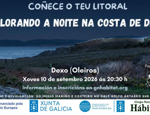 Explorando a noite na costa de Dexo