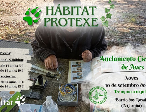 Hábitat Protexe: anelamento científico de aves nos Rosais