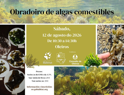 Obradoiro de Algas Comestibles