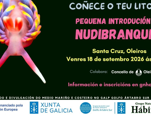 Faladoiro: Pequena introdución aos nudibranquios. Santa Cruz, Oleiros (18/09/2026)