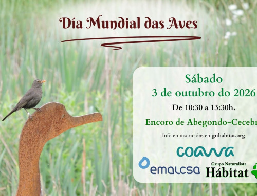 COAWA: Día Mundial das Aves