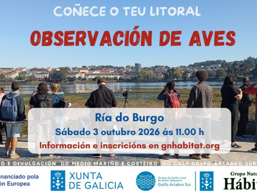 Observación de aves na ría do Burgo