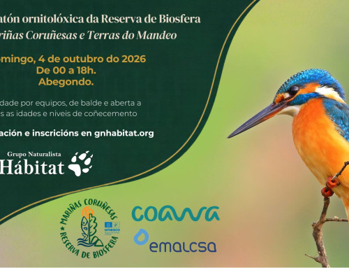 XIII Maratón da Reserva de Biosfera “Mariñas Coruñesas e Terras Do Mandeo”