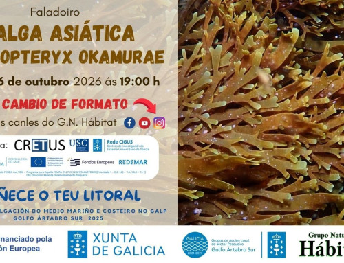 Faladoiro: A alga asiática Rugulopteryx okamurae (06/10/2026)