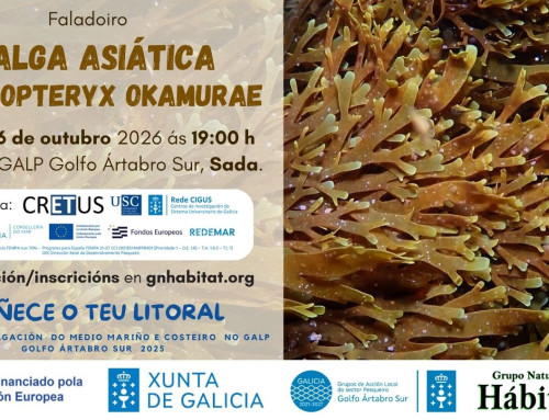 Faladoiro: A alga asiática Rugulopteryx okamurae (06/10/2026)